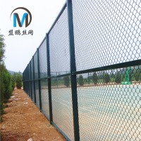 定制體育操場圈地隔離圍網(wǎng) 邊坡防護鍍鋅包塑勾花網(wǎng)