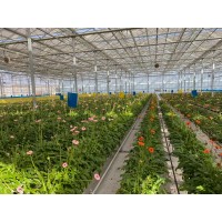 空中草莓栽培系統(tǒng)-智能升降基質(zhì)槽-智能種植塔-無土栽培滴灌
