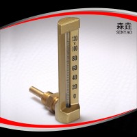 SKA管道溫度計(jì)