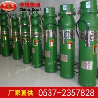 QS充水濕式潛水電泵專業(yè)廠商