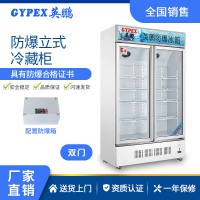 藥劑儲(chǔ)存防爆冰箱-雙門單溫