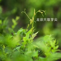 口感好的柳丫頭來(lái)鳳藤茶真心不錯(cuò)！