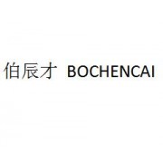 蘇州伯辰才企業(yè)服務(wù)有限公司